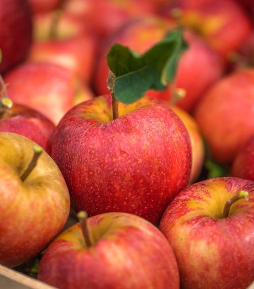 French Apple