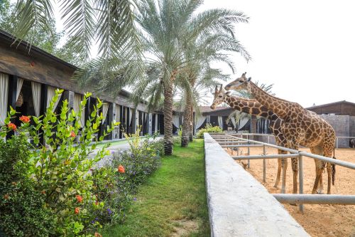 Emirates Park Zoo and Resort