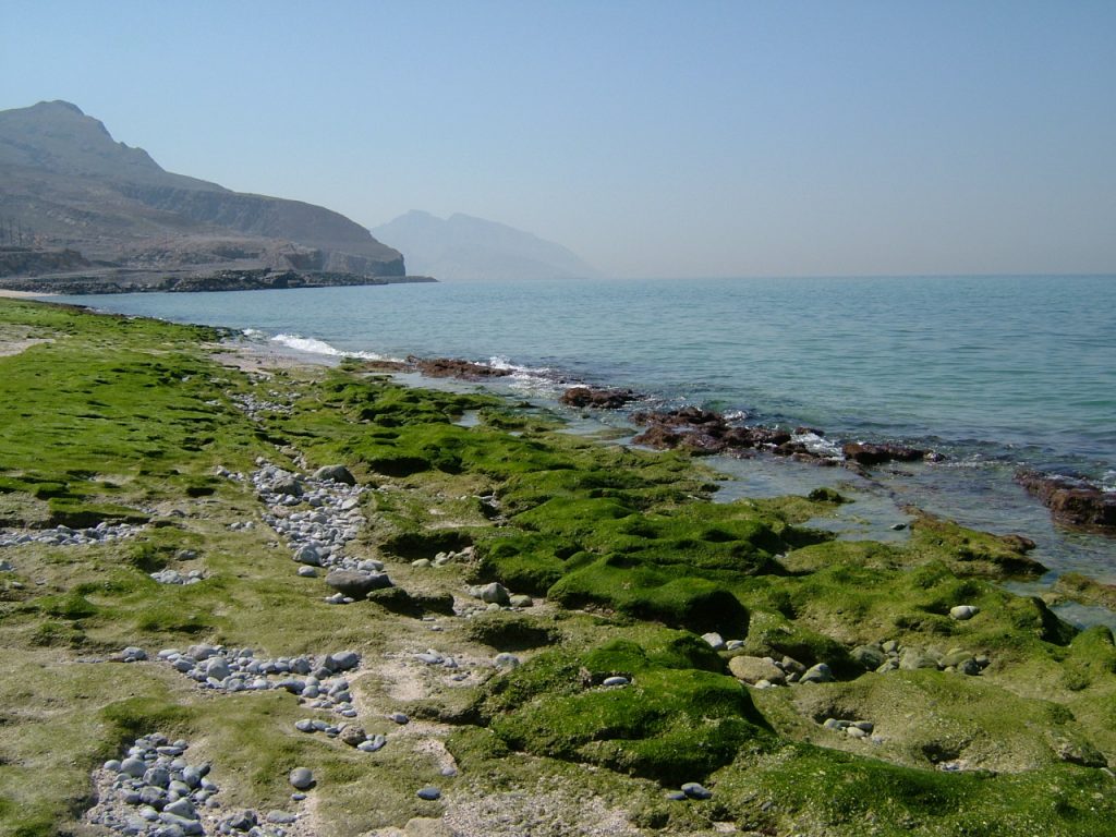 Musandam