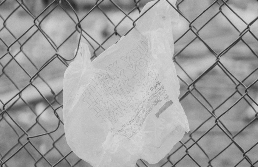 Single-Use Bags