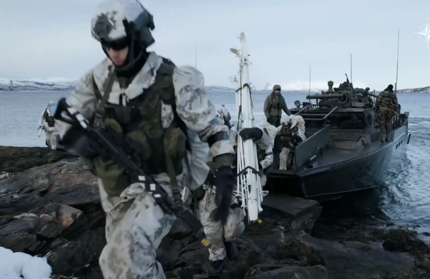 NATO's Arctic marines on manoeuvres