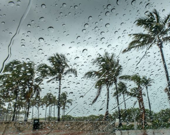 uae weather