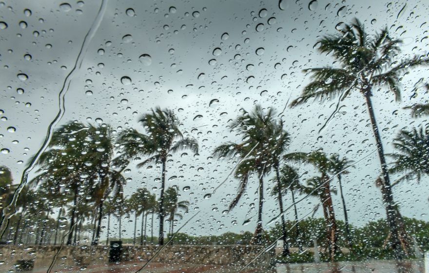 uae weather