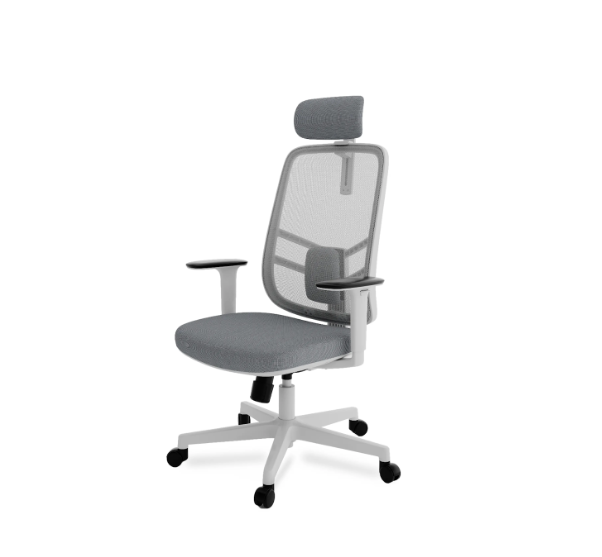 Ergonomic Chairs