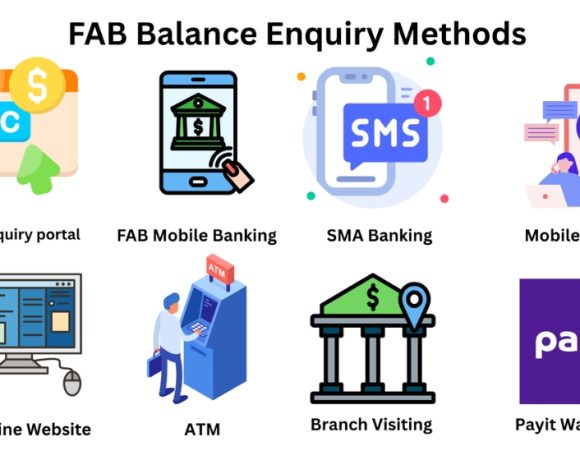 FAB Balance Check