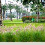 Dubai Creek Park