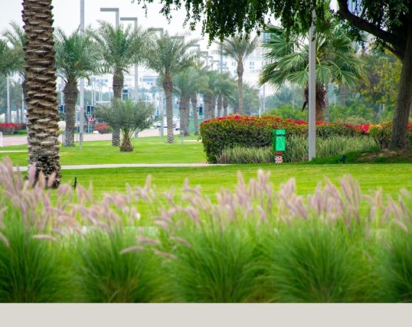 Dubai Creek Park