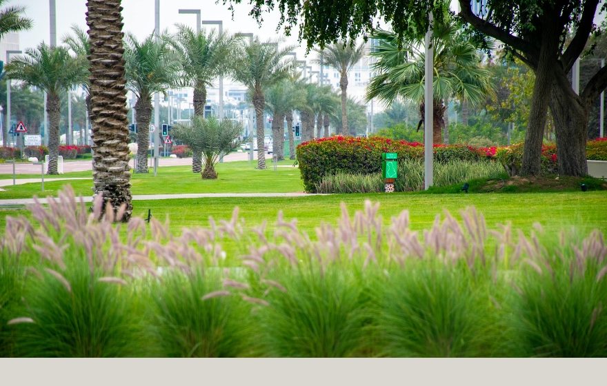 Dubai Creek Park