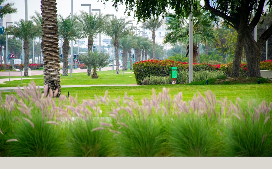 Dubai Creek Park